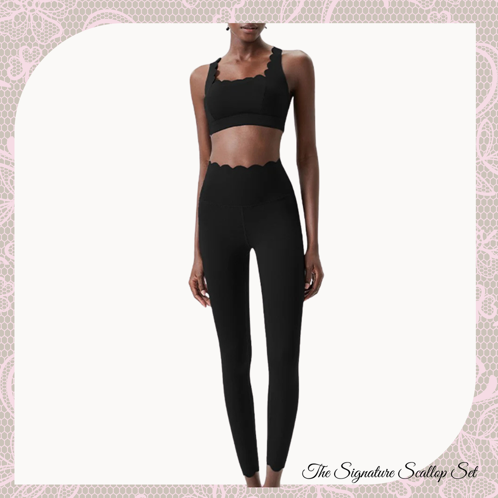 Signature Scallop Collection Set