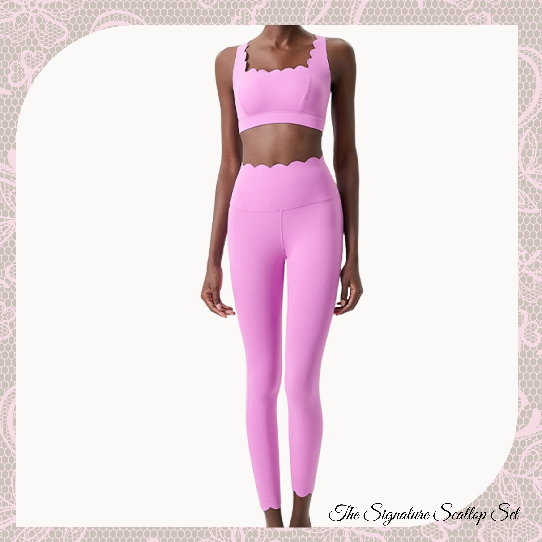 Signature Scallop Collection Set