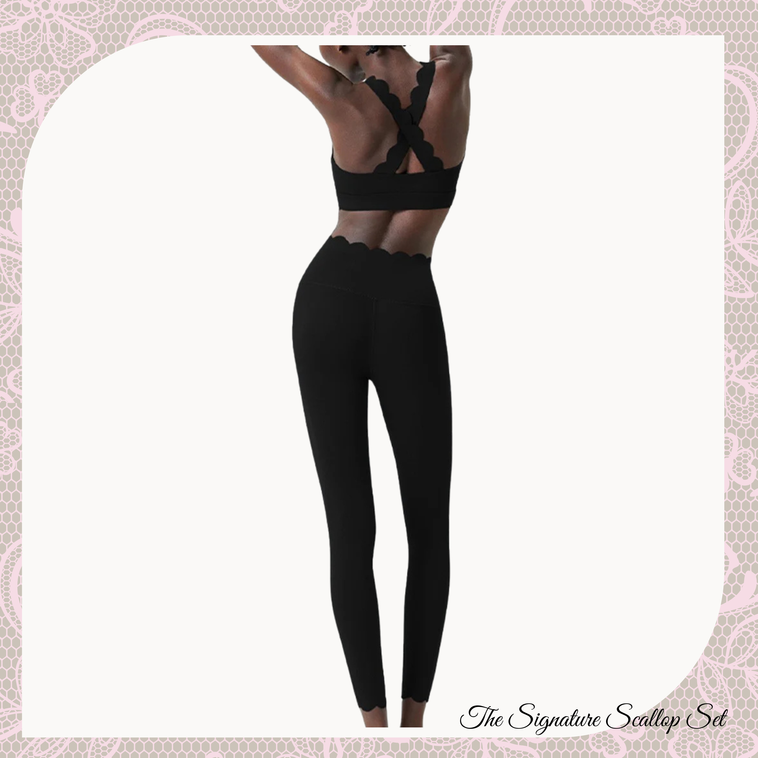 Signature Scallop Collection Set